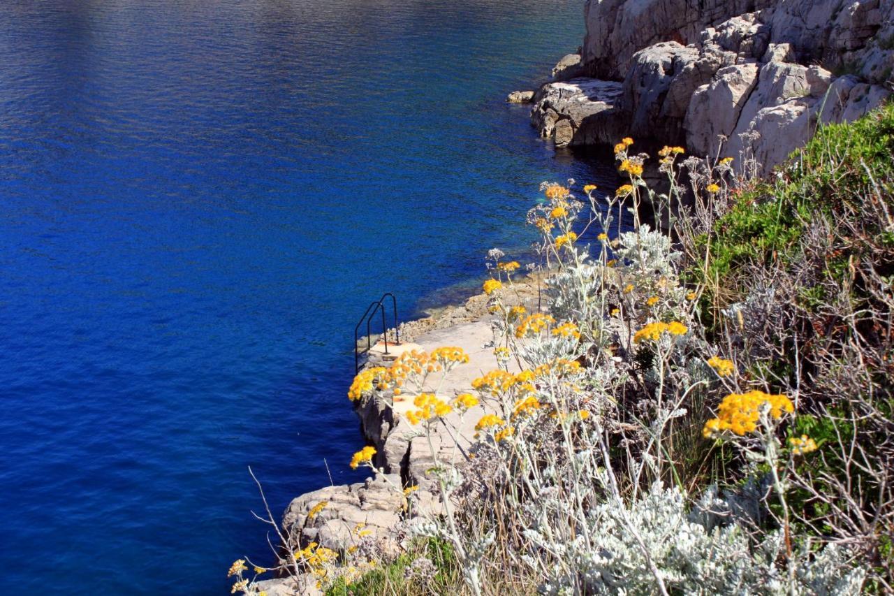 Apartments With A Parking Space Veli Losinj, Losinj - 8029 Buitenkant foto