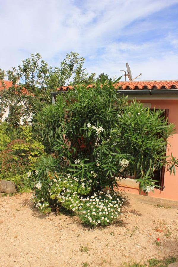 Apartments With A Parking Space Veli Losinj, Losinj - 8029 Buitenkant foto